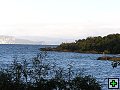 thn_P6180260.jpg