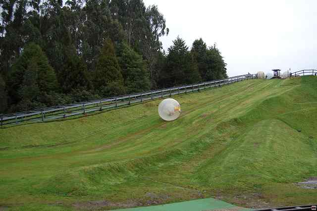 DSC_1121.jpg