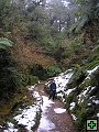 thn_P6200292.jpg