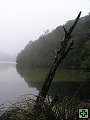 thn_P6200294.jpg