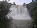 thn_P6200299.jpg