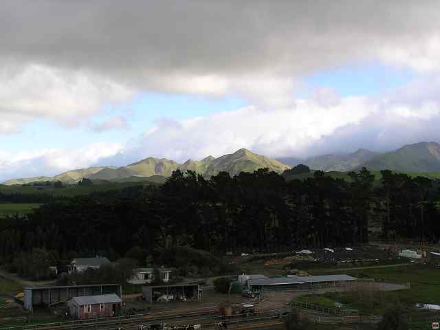 P6090037.jpg