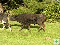 thn_P6090067.jpg