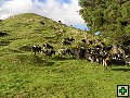 thn_P6090071.jpg
