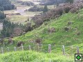 thn_P6090076.jpg