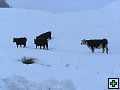 thn_P6230426.jpg
