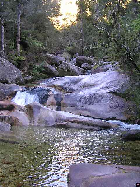 P7010531.jpg