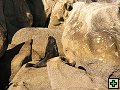 thn_P7030664.jpg