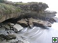 thn_P7040676.jpg
