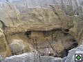 thn_P7040699.jpg
