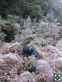 thn_P7060028.jpg