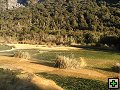 thn_P7060049.jpg