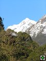 thn_P7060062.jpg