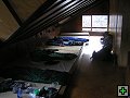 thn_P7070064.jpg