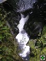 thn_P7090103.jpg