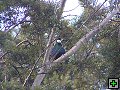 thn_P7100182.jpg