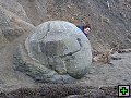 thn_P7110195.jpg