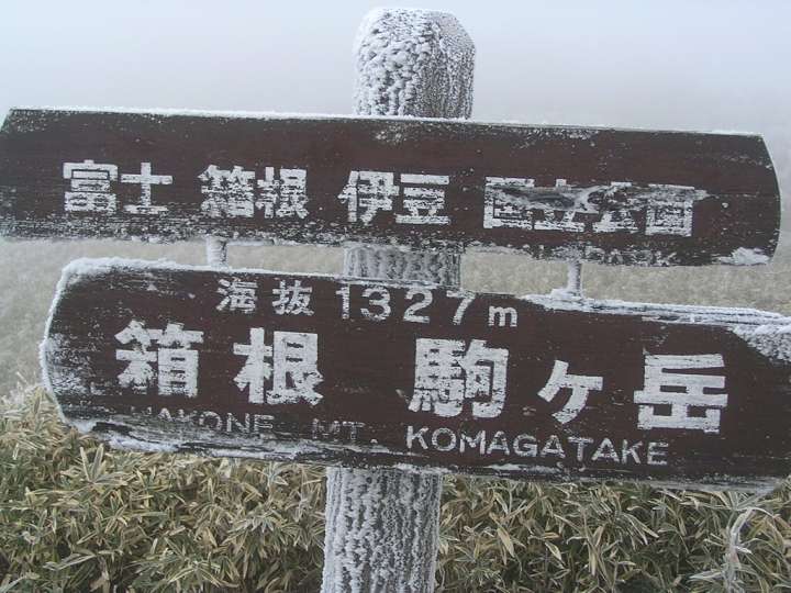 img00007.jpg
