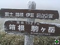 thn_img00007.jpg