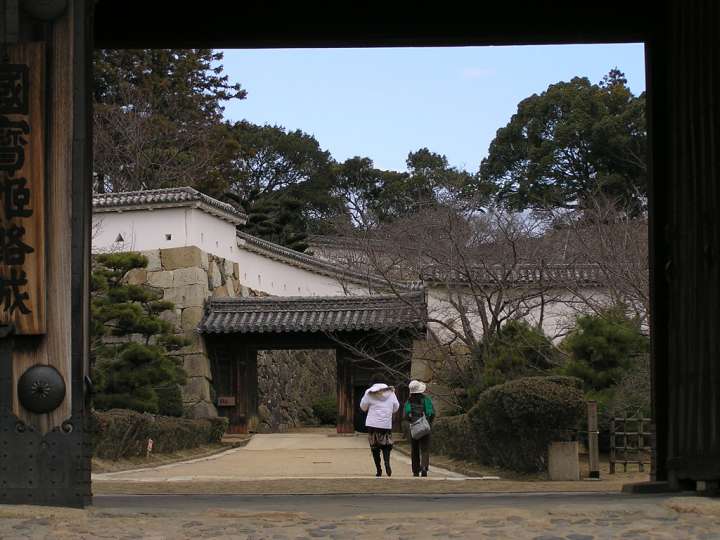 img00007.jpg