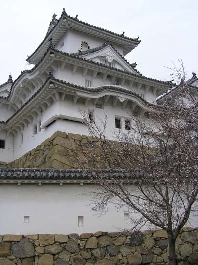img00008.jpg