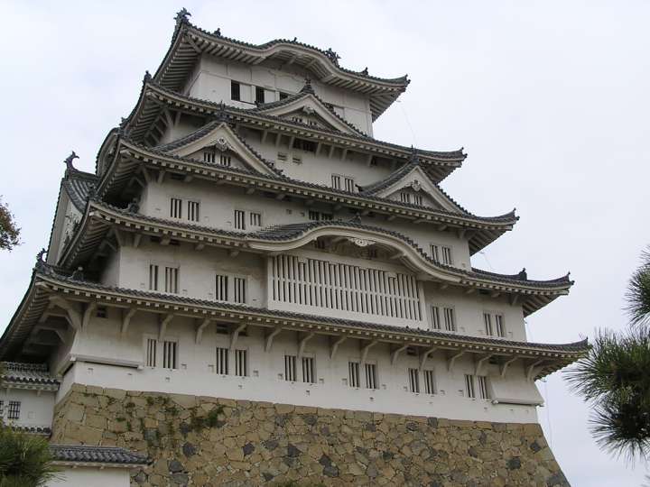 img00010.jpg