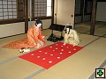 thn_img00014.jpg