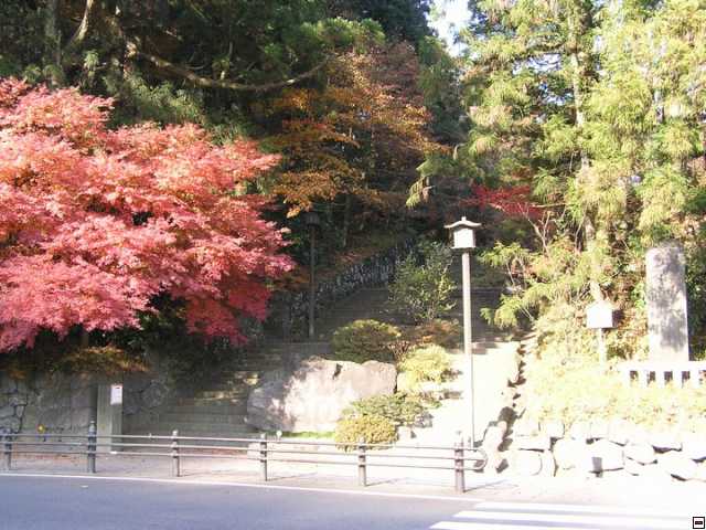 img00007.jpg