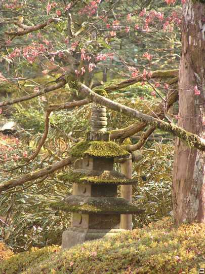 img00017.jpg