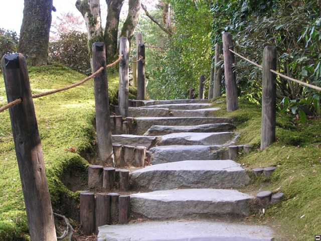 img00020.jpg