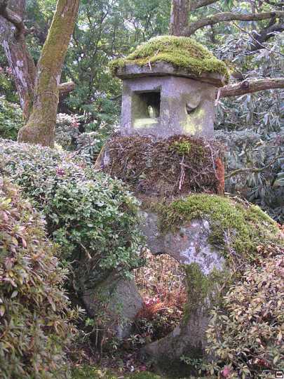 img00026.jpg