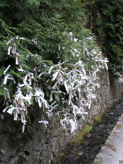 img00040.jpg