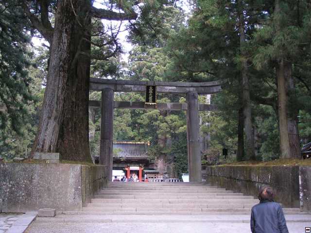 img00041.jpg