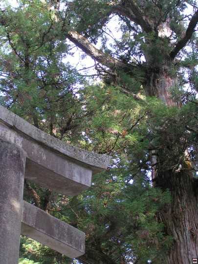 img00043.jpg