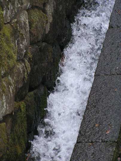 img00044.jpg