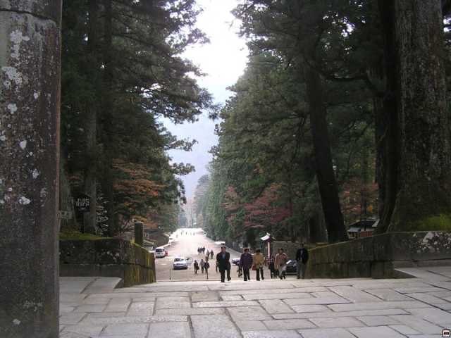img00046.jpg