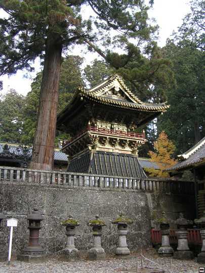 img00056.jpg