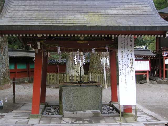 img00081.jpg