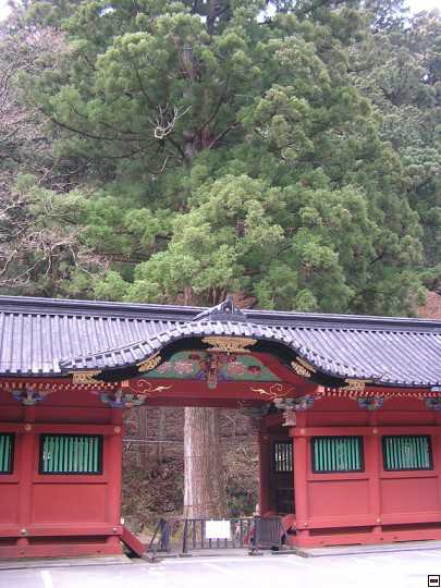 img00084.jpg
