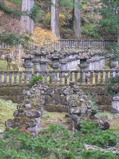 img00089.jpg