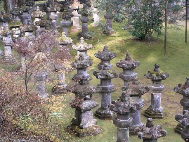 img00100.jpg