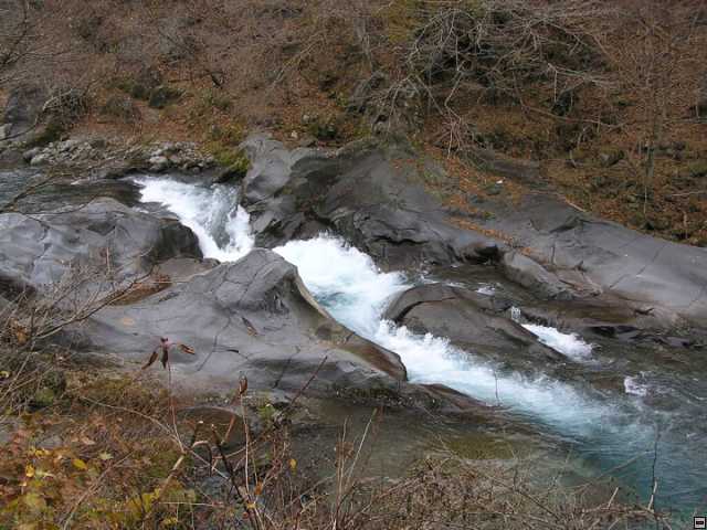 img00104.jpg