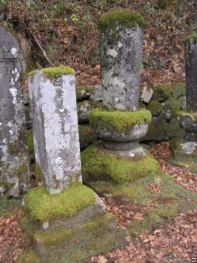 img00108.jpg