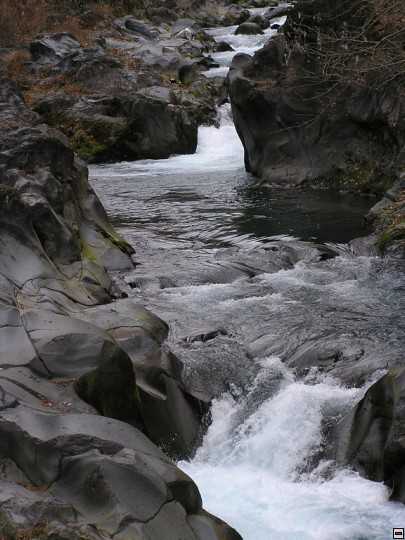 img00112.jpg