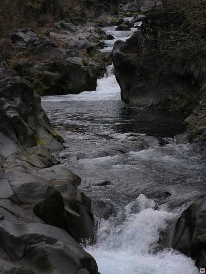 img00113.jpg