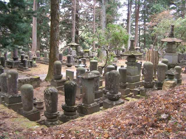 img00115.jpg