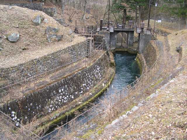 img00116.jpg