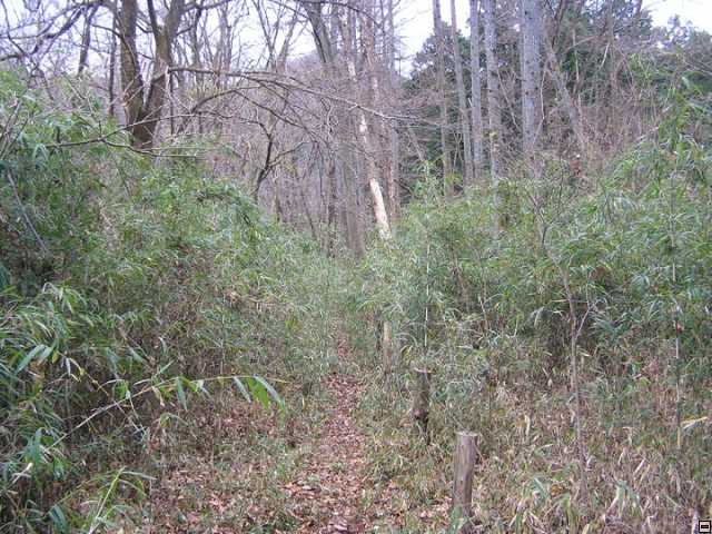 img00117.jpg