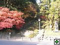 thn_img00007.jpg