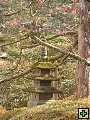 thn_img00017.jpg